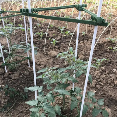 Application Of Fiberglass Garden Stake Application Of Fiberglass Garden Stake